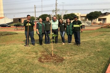 Foto - Hora Verde Cerquilho 2019