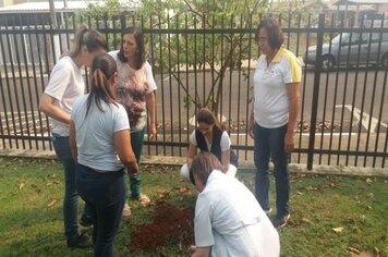 Foto - Hora Verde Cerquilho 2019