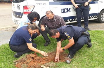 Foto - Hora Verde Cerquilho 2019