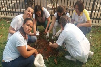 Foto - Hora Verde Cerquilho 2019