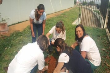 Foto - Hora Verde Cerquilho 2019