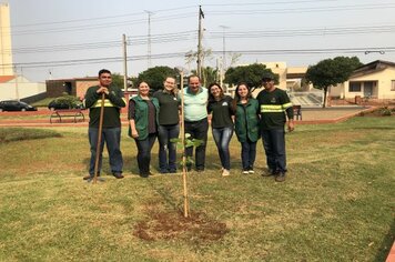 Foto - Hora Verde Cerquilho 2019