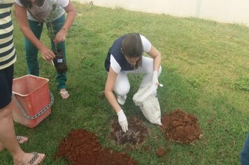 Foto - Hora Verde Cerquilho 2019