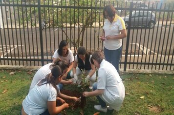 Foto - Hora Verde Cerquilho 2019