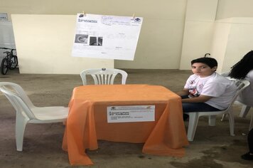 Foto - V Feira de Ciência de Cerquilho 2019