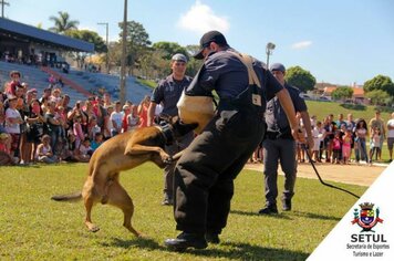 Foto - 1º de Maio - Dia do Trabalhador