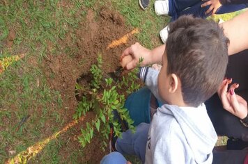 Foto - Hora Verde Cerquilho 2019