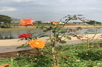 Foto - Cerquilho 70 anos - Parque dos Lagos 