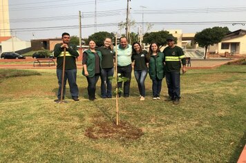 Foto - Hora Verde Cerquilho 2019