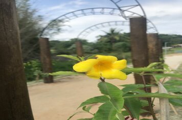 Foto - Cerquilho 70 anos - Parque dos Lagos 