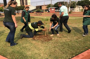 Foto - Hora Verde Cerquilho 2019