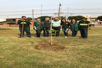 Foto - Hora Verde Cerquilho 2019