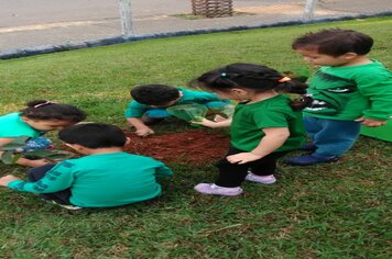 Foto - Hora Verde Cerquilho 2019