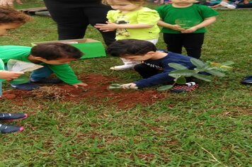 Foto - Hora Verde Cerquilho 2019