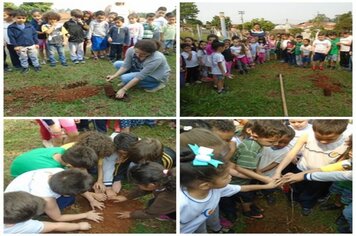 Foto - Hora Verde Cerquilho 2019