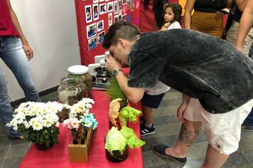 Foto - I Mostra Cultural da EMEI Phina Grando 