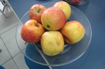 Nome das frutas em inglês com tradução e pronúncia.