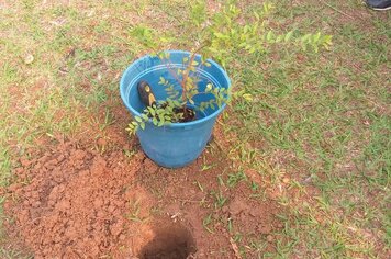 DIA DA ÁRVORE É COMEMORADO COM PLANTIO DE MUDA NO PARQUE DA ESCOLA!!!