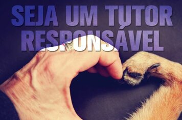 Palestra: Seja um tutor responsável