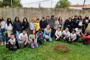 Alunos da Escola Marina plantam mudas frutíferas