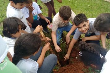 Prefeitura realiza projeto de compostagem e plantio de árvore frutífera e mudas de flores