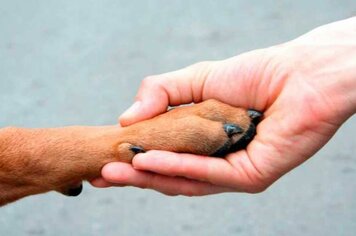  Prefeito promulga lei de Proteção aos Animais