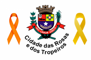 Maio Laranja e Maio Amarelo, conheça mais sobre as Campanhas deste mês