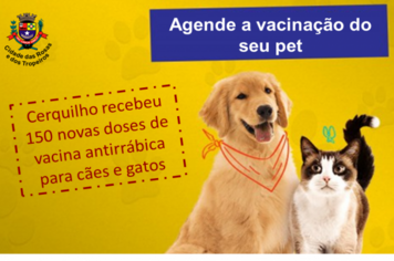 Cerquilho recebe 150 novas doses de vacina antirrábica para cães e gatos