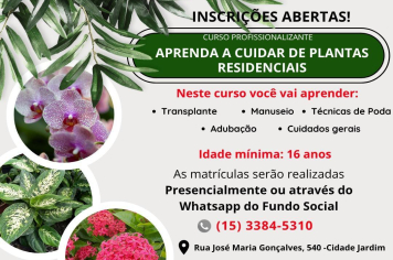 Aprenda a cuidar das suas plantas! 
