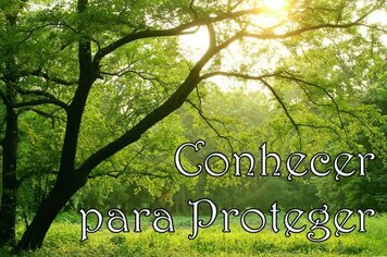 Projeto Conhecer para Proteger