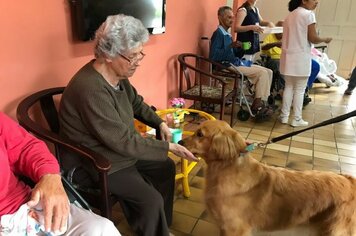 Cães do GOC realizam trabalho terapêutico no Lar São José