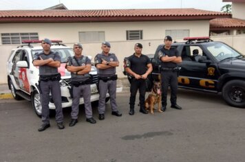  Cão do GOC encontra drogas