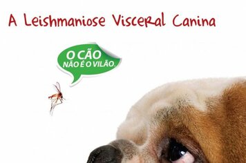 Semana de Prevenção da Leishmaniose Visceral