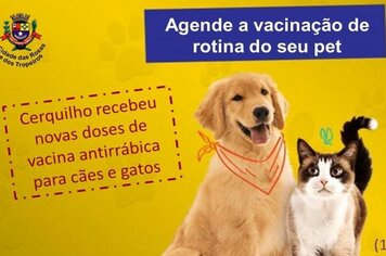 Agende a vacina antirrábica do seu pet