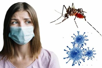 Informe-se sobre o Coronavírus, mas não se esqueça dos cuidados para combater a dengue e outras doenças conhecidas
