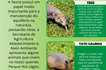 CONHECER PARA PRESERVAR – ANIMAIS DO PARQUE DOS LAGOS