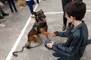 Grupo de Operações com Cães de Cerquilho faz apresentação