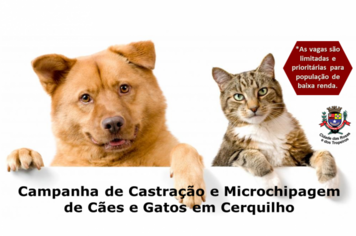 Prefeitura abre cadastro para castração e microchipagem de cães e gatos