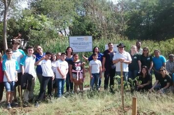 Prefeitura e Rotary Club realizam plantio de mudas em nascente