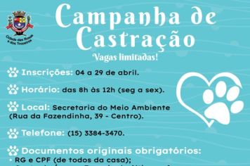 Prefeitura de Cerquilho abrirá cadastro para castração e microchipagem gratuita em Abril