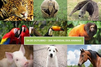 04 de outubro – Dia Mundial dos Animais 