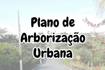 Prefeitura de Cerquilho inicia Plano de Arborização Urbana