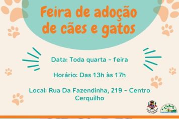 Prefeitura de Cerquilho realiza feira de adoção de animais todas as quartas-feiras