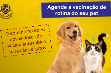 Prefeitura orienta sobre agendamento da vacinação antirrábica