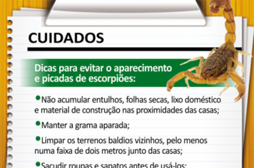 Prefeitura orienta sobre acidentes com animais peçonhentos