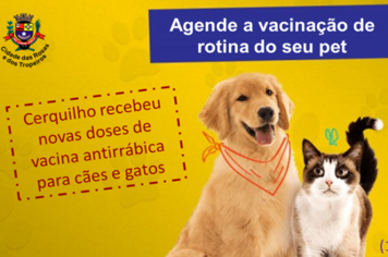 Vacinação antirrábica pode ser agendada em Cerquilho