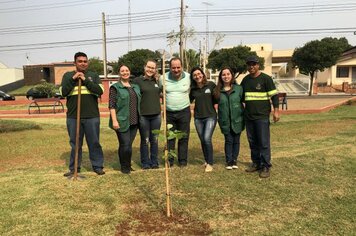Ação Hora Verde em Cerquilho planta mais de 100 novas mudas no município