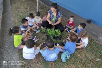 Escolas da Educação Infantil desenvolvem ações junto aos alunos em homenagem ao “Dia do Planeta”