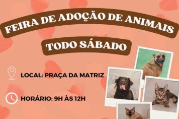 Cerquilho recebe Feirinha de Adoção de Animais todos os sábados na Praça da Matriz