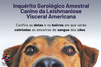 A Secretaria Municipal de Saúde de Cerquilho, por meio do Setor de Zoonoses, informa sobre o Inquérito Sorológico Amostral Canino da Leishmaniose Visceral Americana de 22 de janeiro a 2 de fevereiro de 2024.